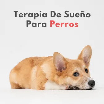 Terapia De Sueño Para Perros by Listas de reproducción de música relajante para perros