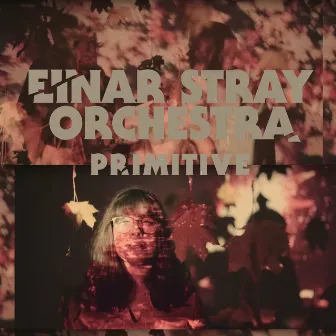 Primitive by Einar Stray Orchestra