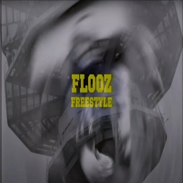 Flooz Freestyle