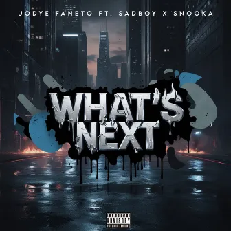 What's Next by Snooka