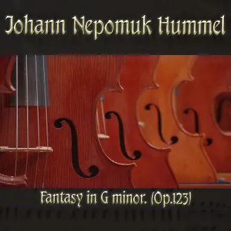 Johann Nepomuk Hummel: Fantasy in G minor, (Op.123) by Hummel