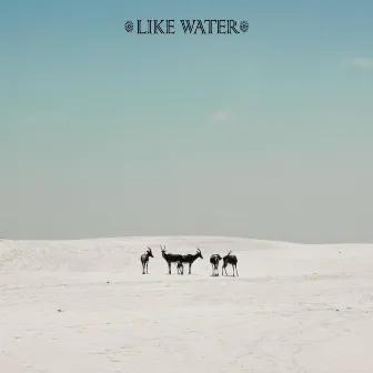 Like Water by S.R.