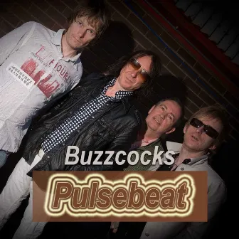 Pulsebeat by Buzzcocks