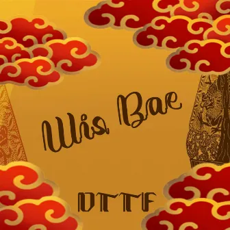 WIS BAE by D.T.T.F