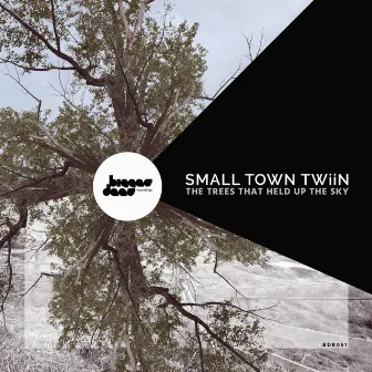 The Trees That Held Up The Sky by Small Town Twiin