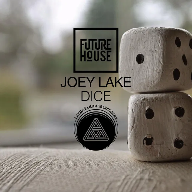 Dice