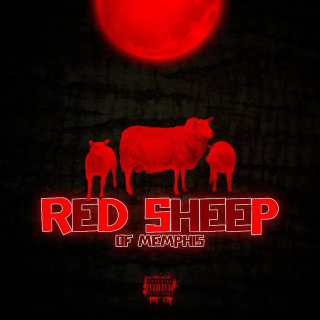 Red Sheep of Memphis