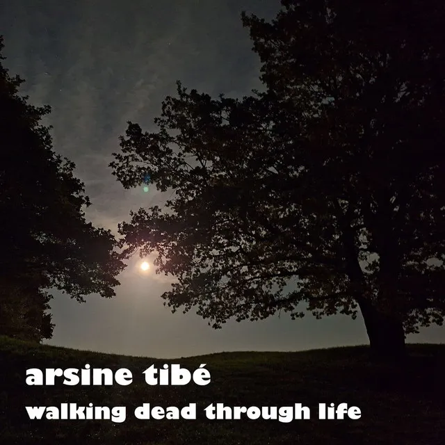 Walking Dead Through Life - Instrumental