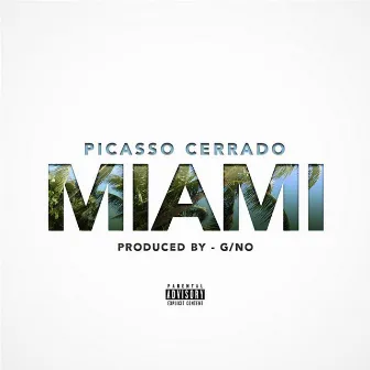 Miami by Picasso Cerrado