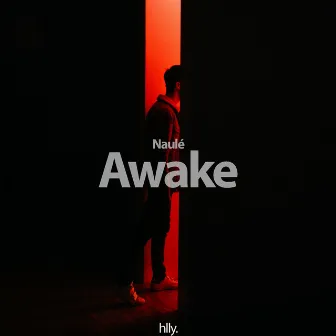 Awake by Naulé