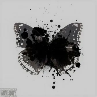 The Black Butterfly by Damus King