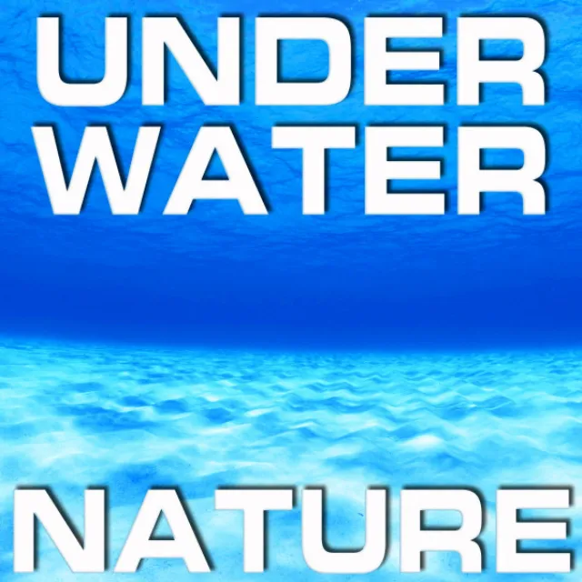 Underwater Animal Nature