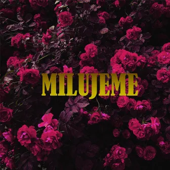 Milujeme by Jurus