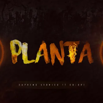 Planta by Supremo Atomico Spartan