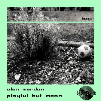 Playful But Mean by Alen Merdan