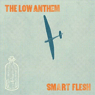 Apothecary Love by The Low Anthem