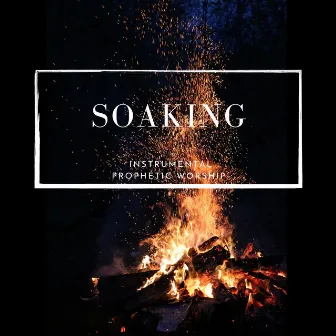 Soaking - Instrumental Prophetic Worship by Nancy de Loop