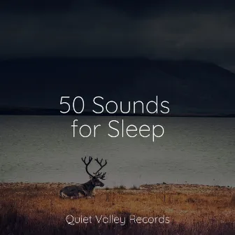 50 Sounds for Sleep by Serenity Spa Music Relaxation