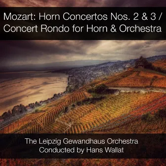 Mozart: Horn Concertos Nos. 2 & 3 / Concert Rondo for Horn & Orchestra by Hans Wallat