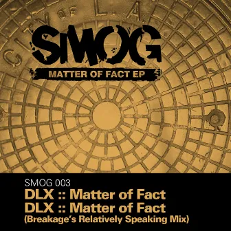 Matter of Fact EP by DLX