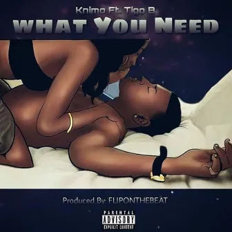 What You Need by KNIMO