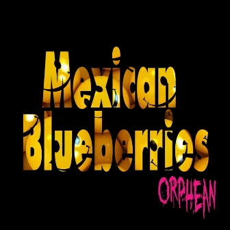 Mexican Blueberries by Orphean