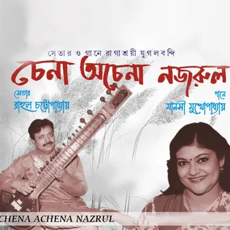 Chena Achena Nazrul by Manashi Mukhopadhyay