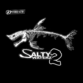 Salty Waterz 2 by Optimystic