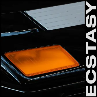 Ecstasy by LOS LEO