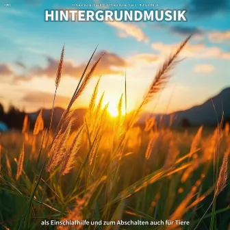 #001 Hintergrundmusik als Einschlafhilfe und zum Abschalten auch für Tiere by Entspannungsmusik 2