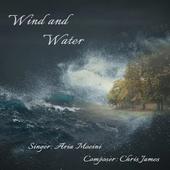 Wind and Water by Aria Moeini