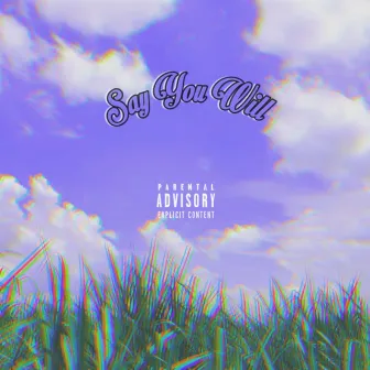 Say You Will by 3z