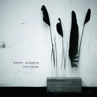 Feathers by Poppy Ackroyd