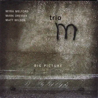 Big Picture by Trio M