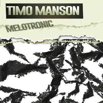 MELOTRONIC by Timo Manson