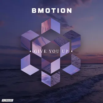 Give You Up by BMotion