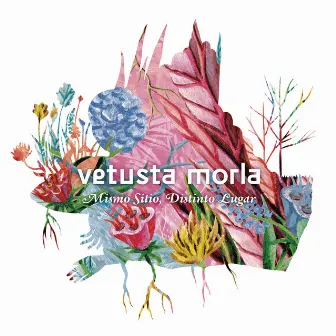 Mismo Sitio, Distinto Lugar by Vetusta Morla