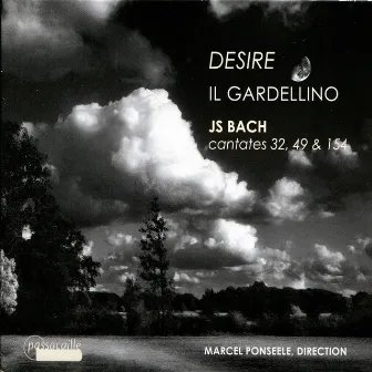 Bach: Desire - Cantates 32, 49 & 154 by Caroline Weynants