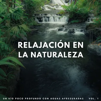 Relajación En La Naturaleza: Un Río Poco Profundo Con Aguas Apresuradas Vol. 1 by La máquina de ondas para dormir