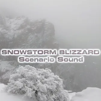 Snowstorm Blizzard Scenario Sound by Nature Sounds FX