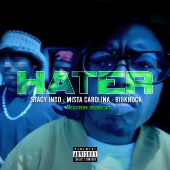 Hater by Stacy Indo