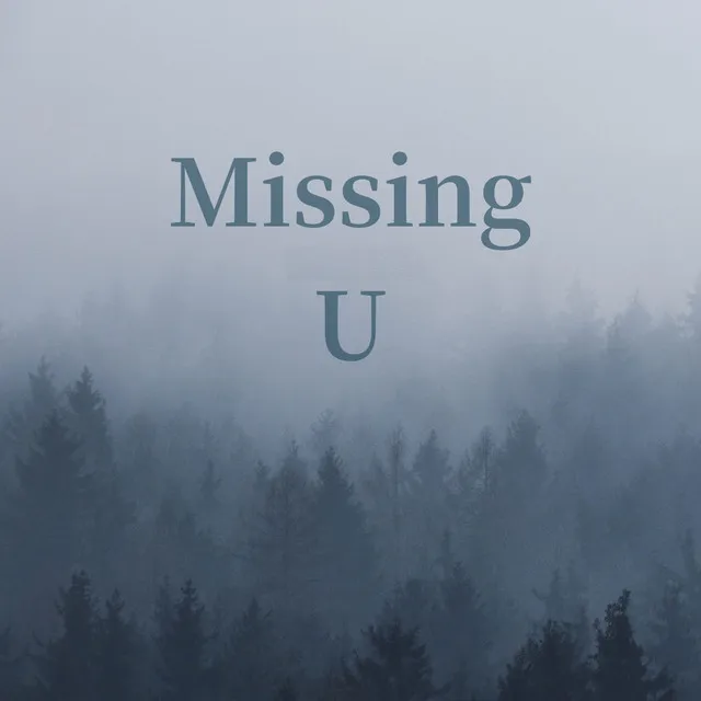 Missing U