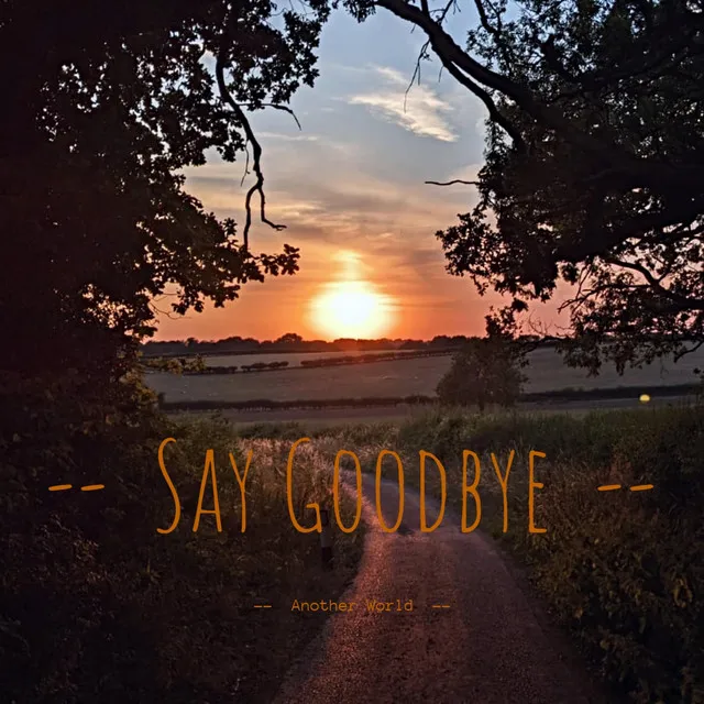 Say Goodbye