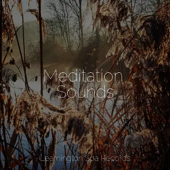 Meditation Sounds by Schlaflieder Relax