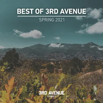 Best of 3rd Avenue | Spring 2021 by Greenage