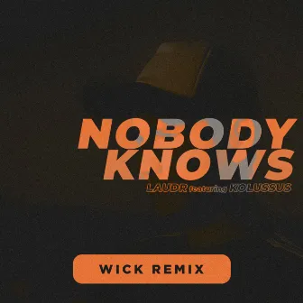 Nobody Knows (Wick Remix) by LAUDR