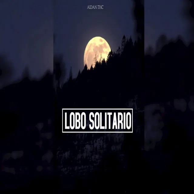 Lobo Solitario