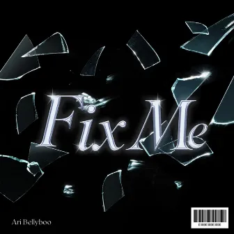 Fix Me by Ari Bellyboo