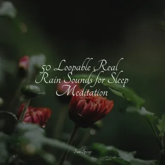 50 Loopable Real Rain Sounds for Sleep Meditation by Unknown Artist