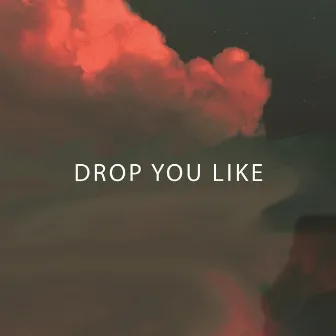 Drop You Like by DELAX